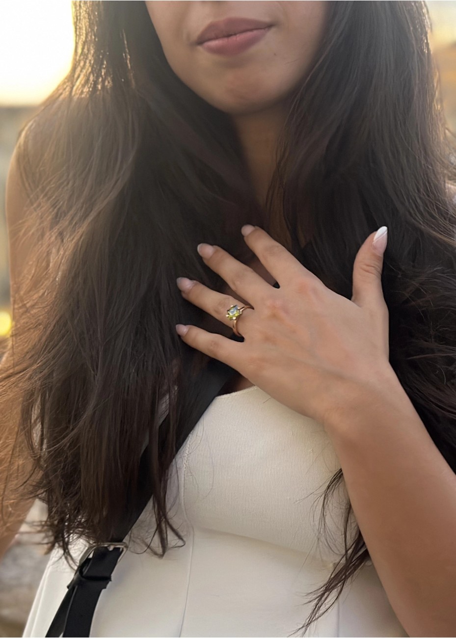 Anillo Redondo Deluxe Intercambiable | Colección UNUM - DICAROLO