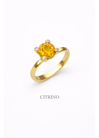 Anillo Redondo Deluxe Intercambiable | Colección UNUM - DICAROLO